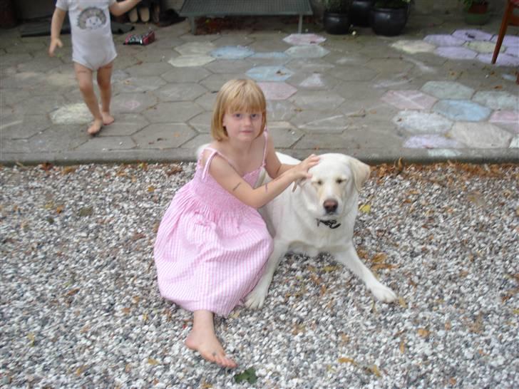 Blanding af racer Tilde <3 *R.I.P* billede 4