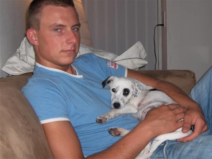 Blanding af racer Chika - Elsker at ligge på fars mave og putte. billede 13