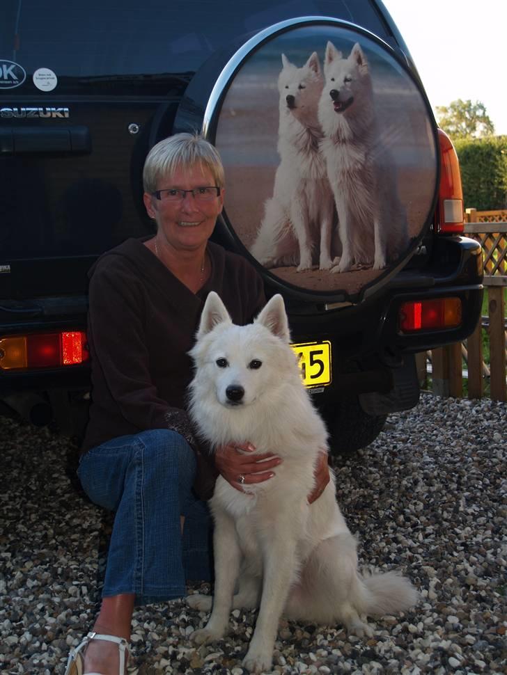 Dansk Spids Elvis - Her er det billede BT har brugt billede 19