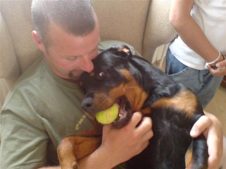 Rottweiler loke (fucker) billede 10