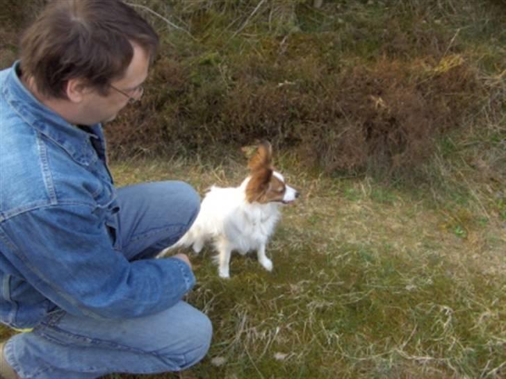 Papillon molly - det her er mig og min far billede 7