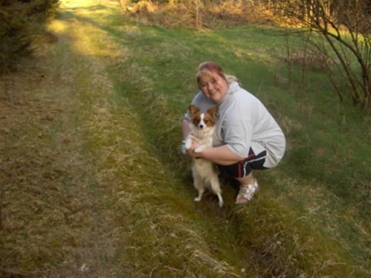 Papillon molly - her er jeg så med min mor billede 8