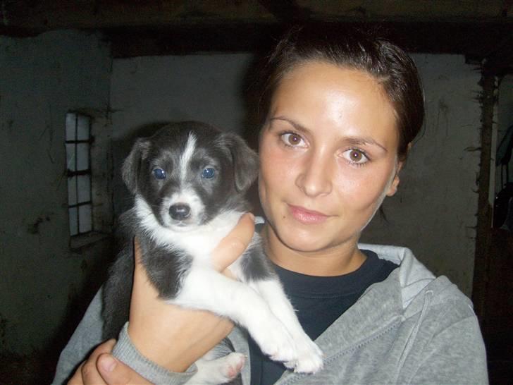 Blanding af racer Filuca - Mor viser mig stolt frem, efter hun har valgt det er mig hun vil købe:-) billede 4