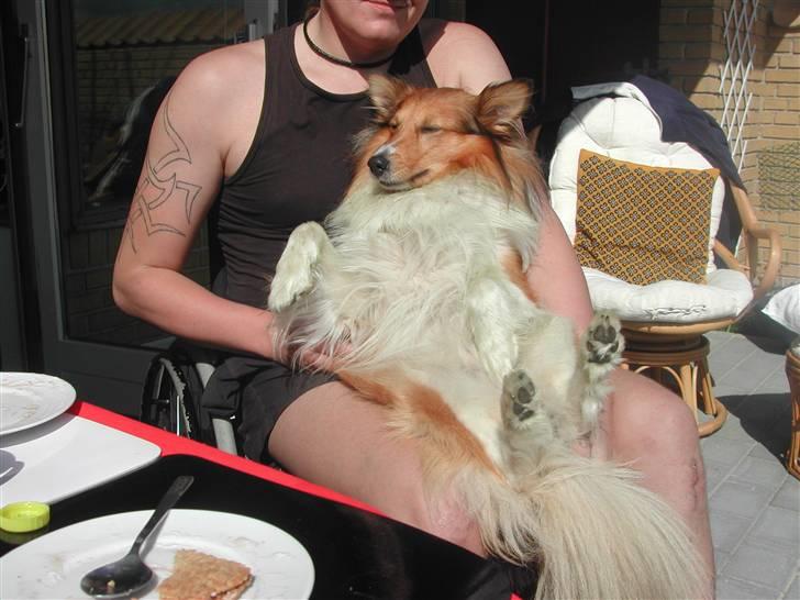 Blanding af racer Mickey Solgt billede 5