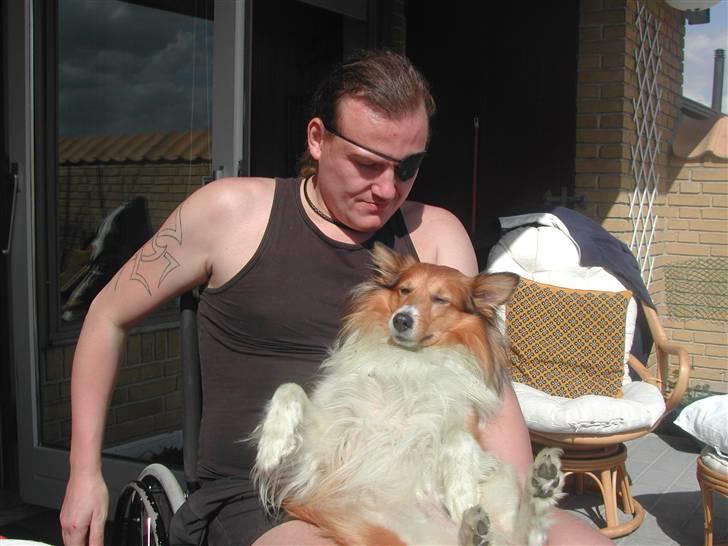 Blanding af racer Mickey Solgt billede 6