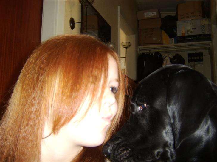 Blanding af racer Bamse - Vi elsker hinanden, ÆGTE KÆRLIGHED <3 NYT billede 12