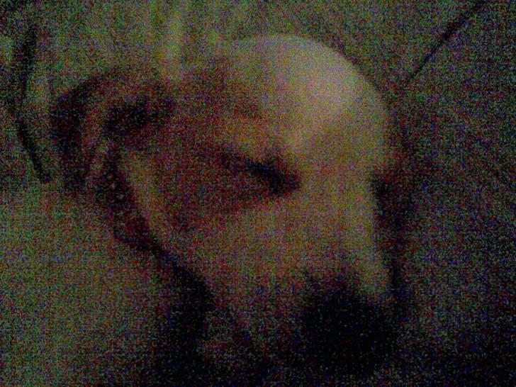 Dansk svensk gaardhund Fifi Jørnsen - Nat Nat billede 12