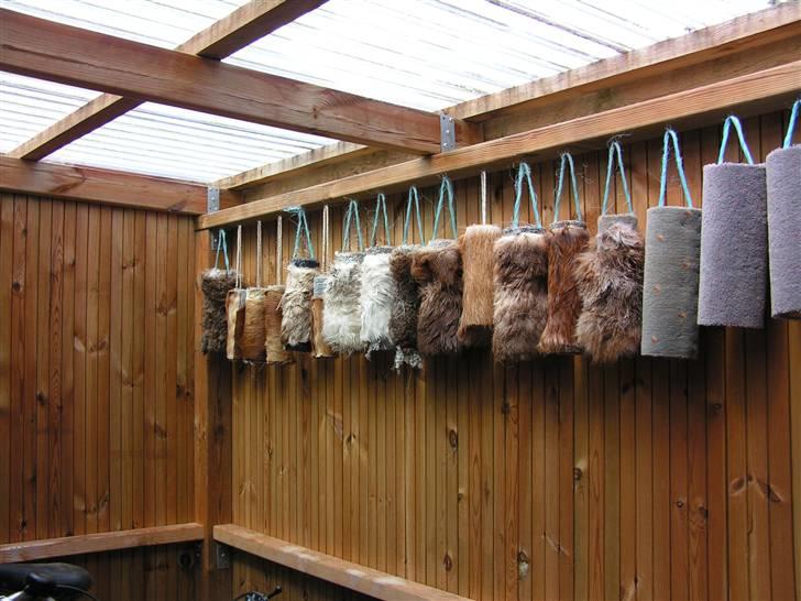 Labrador retriever Pepsi - Pepsi´s yndlings legetøj billede 7