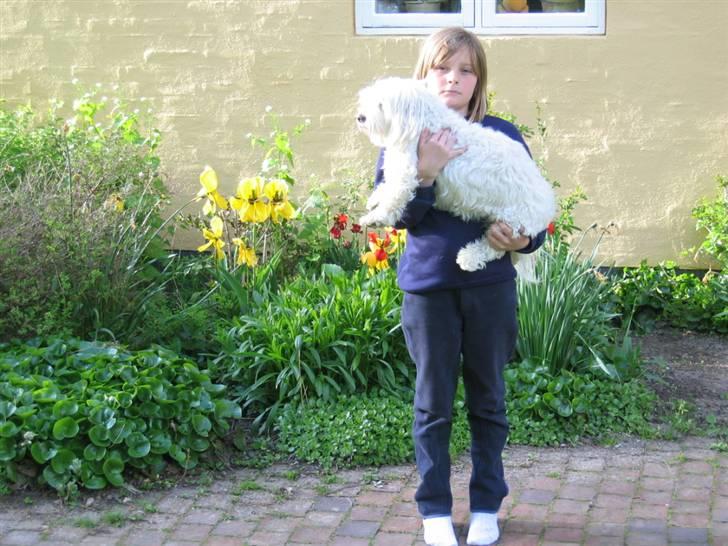 Blanding af racer Perle :'( Aflivet:'( billede 11