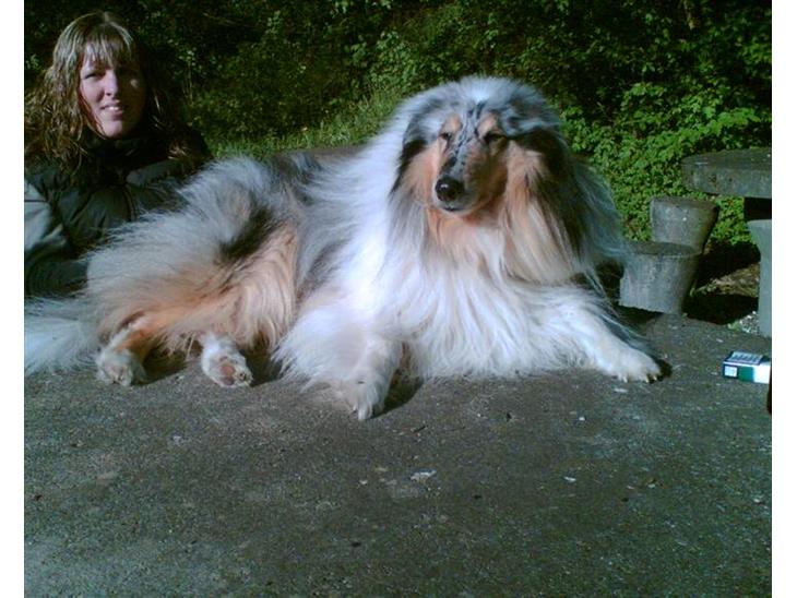 {{currentPhoto.altText}} billede {{currentPhoto.number}}