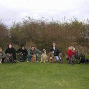 Boerboel Noma