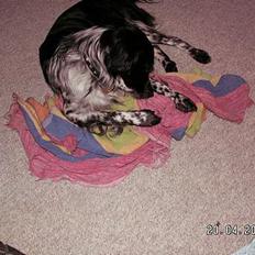 Blanding af racer oskar