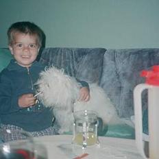 Coton de tulear Moby