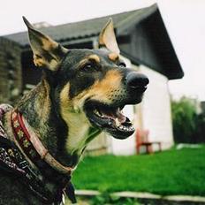 Blanding af racer  Plet<3