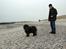 Chow chow Balder/ Incipit Que Feliz