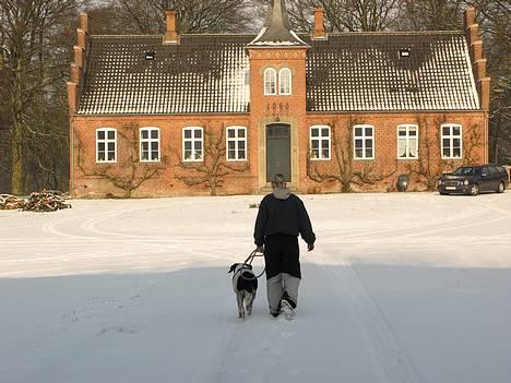 Blanding af racer Buster* R.I.P* billede 17