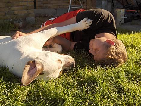 Blanding af racer Nalla 5/11 - Nalla og Far Sommer ´05 billede 19