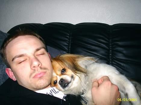 Blanding af racer gismo *nyt og godt hjem* billede 9