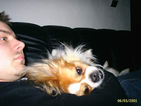 Blanding af racer gismo *nyt og godt hjem* billede 11