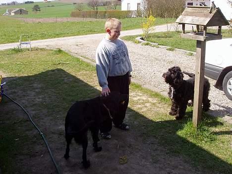 Blanding af racer Lucky - Her står jeg med mine 2 venner Teddy og Kasper! billede 3