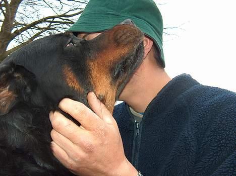 Rottweiler Asan R.I.P. - Far jeg vil også snakkes med... billede 7