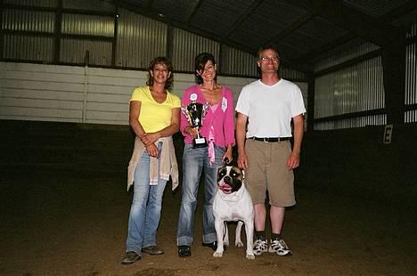 Amerikansk bulldog Zorro - BEST IN SHOW 31/7-2005 billede 7