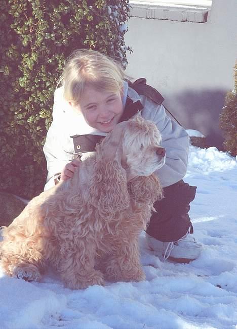 Amerikansk cocker spaniel da-nillo ( nillo )(død) - her er han igen sammen med mig og åhhh hvor vi bare nyder det gode vejr... hehe billede 3