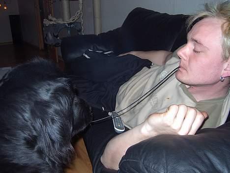 Newfoundlænder Balu - Blau stjæler slik fra sin far :-) billede 5