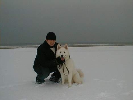 Blanding af racer Gaia - Gaia og farmand!! billede 8