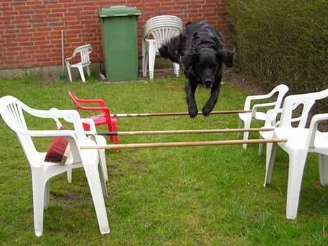 Blanding af racer Walder - Juhuu superman ;) billede 10