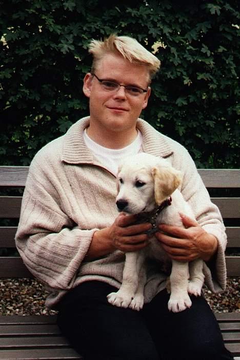 Golden retriever Asterix billede 8