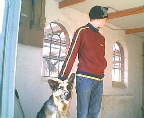 Schæferhund Ricko III - Her er Ricko sammen med min storebror Christian billede 1