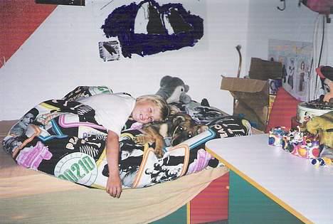 Blanding af racer  Plet<3 billede 18