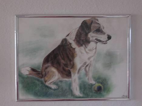 Blanding af racer Bobbi *død 27 April 07* - Det er tegnet af Elise B herinde fra..    www.123hjemmeside.dk/broegger billede 2