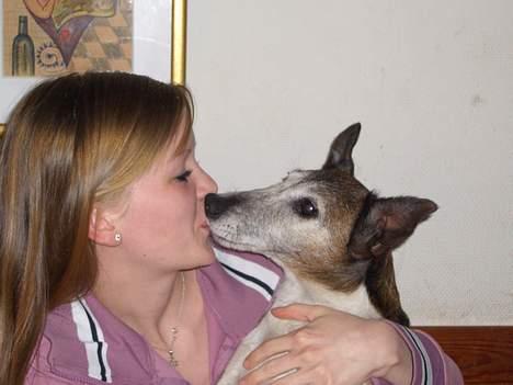 Glathåret foxterrier molly<3 (R.I.P) 28 dec billede 5