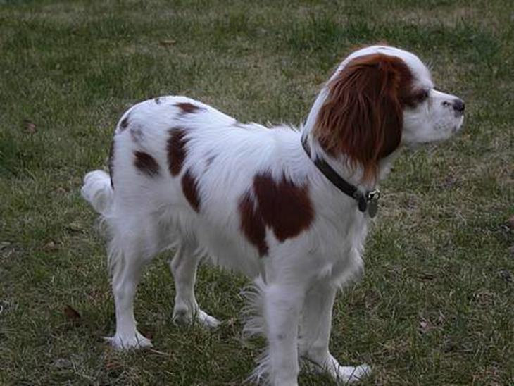 {{currentPhoto.altText}} billede {{currentPhoto.number}}