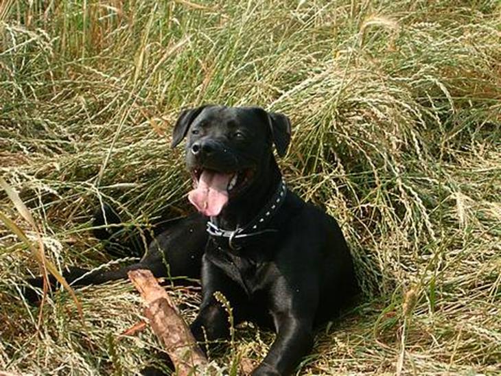 {{currentPhoto.altText}} billede {{currentPhoto.number}}