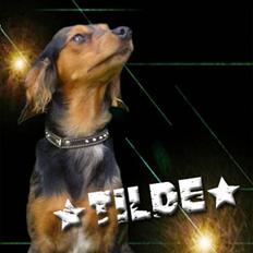 Blanding af racer Tilde