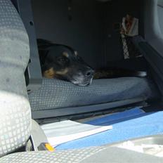 Blanding af racer valde