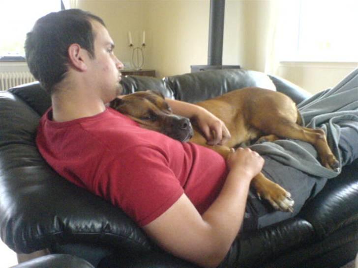 Blanding af racer Shorty - ELSKER bare min far ALt for meget:) billede 4