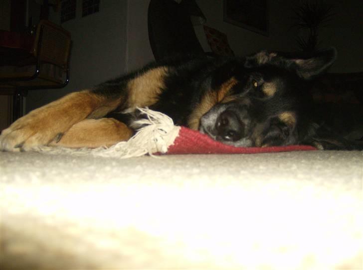 Blanding af racer valde billede 3