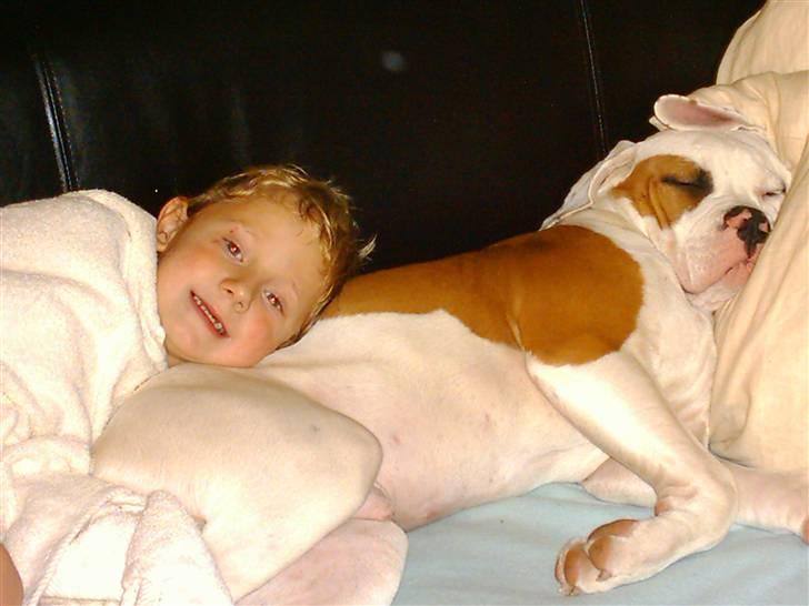 Amerikansk bulldog Alonzo - Min lillebror og Alonzo da han er 5 mdr billede 2