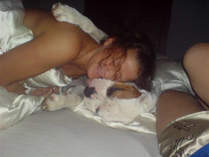 Amerikansk bulldog Alonzo - Her putter jeg lige med mor billede 10