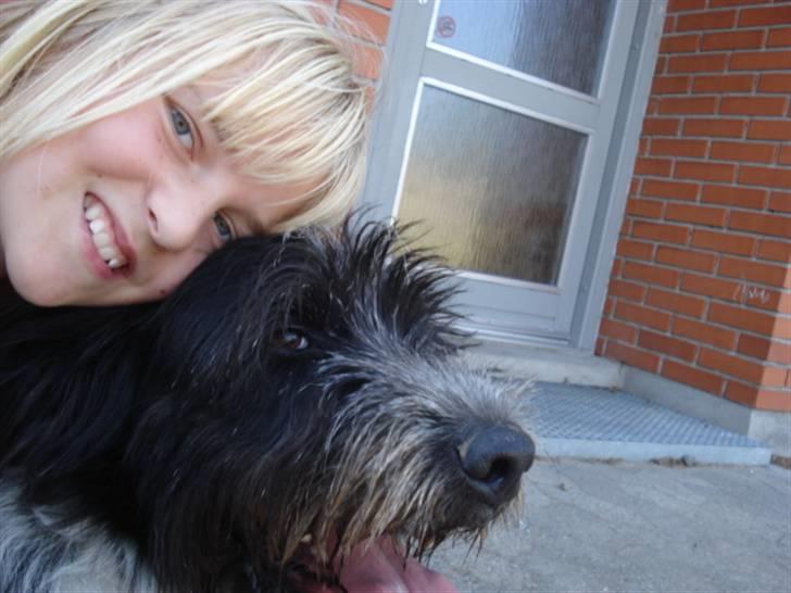 Blanding af racer Bamse - Mig og ham.. Ligner ikke lige mig selv på det billed ?? Foto: Signe (mig) billede 16