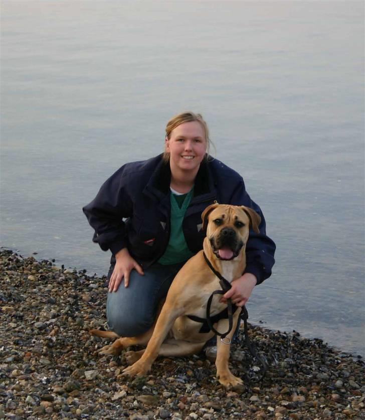 Boerboel Thor Olympia - Det er dejligt at være ved vandet. April billede 1