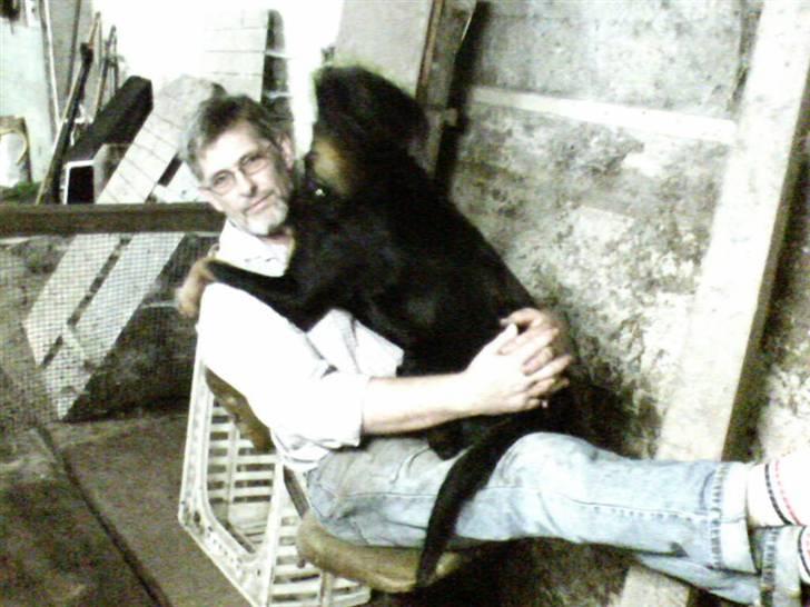 Blanding af racer Trine (Rip d. 24/5-2019) - sidder lige hos far og hygger mig... fuck en kat billede 10