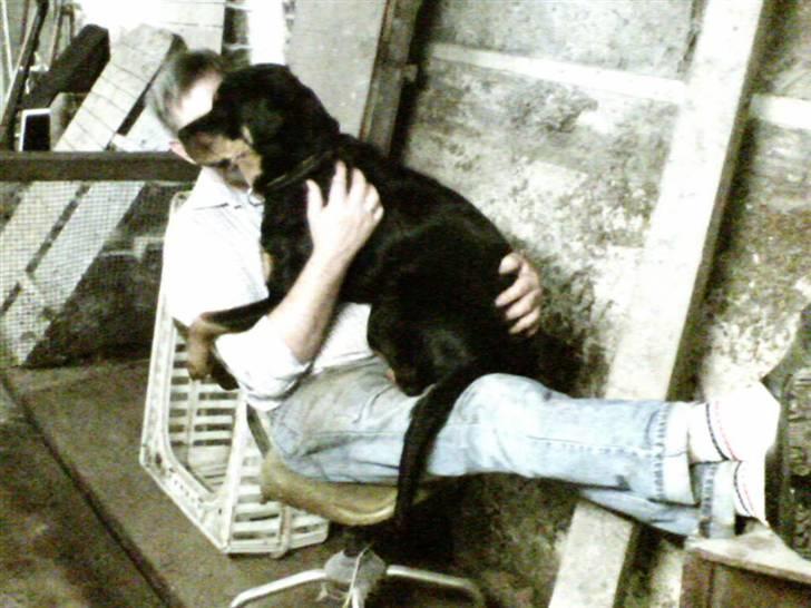 Blanding af racer Trine (Rip d. 24/5-2019) - åhhh dejligt...  billede 11