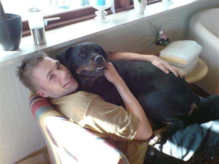 Rottweiler Zenta - Man sidder nu ganske godt... billede 14