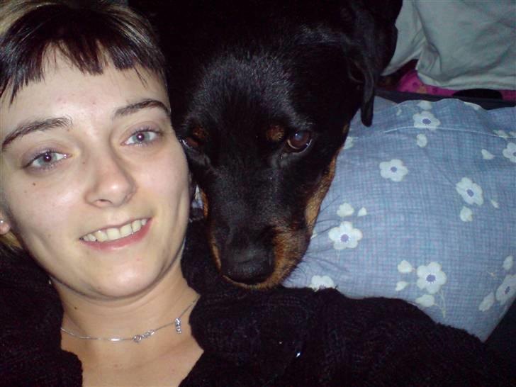 Rottweiler Zenta - hygge på sofaen billede 16