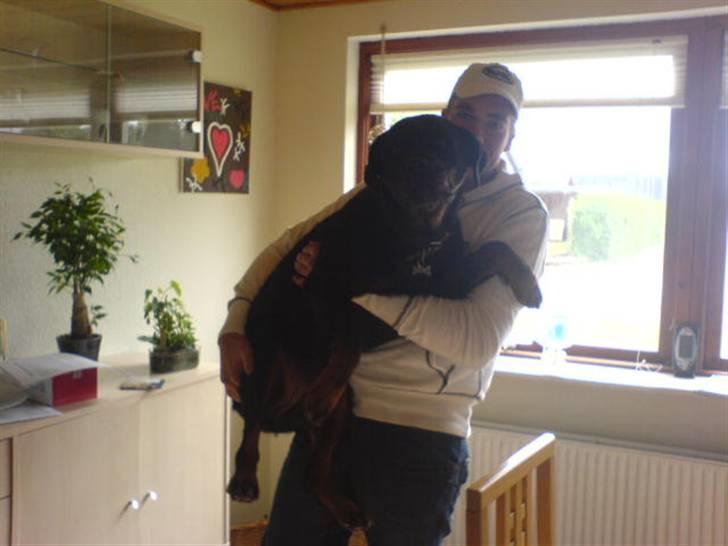 Rottweiler Zenta - Tosse far og Zenta billede 18